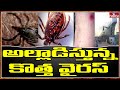 New virus creates ripples in Visakhapatanam