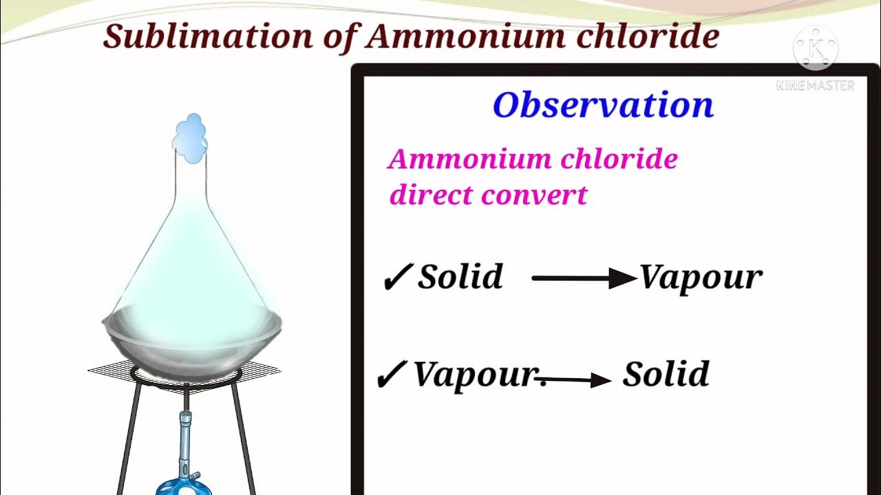 Activity1.13Sublimation of Ammonium Chloride Class9 Chapter1