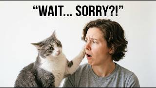 Your Cat Is Saying SORRY — Here's What It REALLY Means!!!
