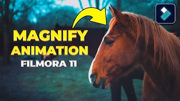How To Make Magnify Animation On Filmora 11