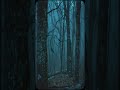 theforestisthepath.com