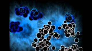 pattern animation colours.avi