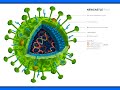 Вакцины для голубей, вакцино-профилактика парамиксовируса у голубей