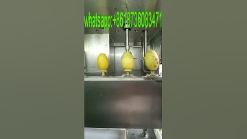 Video of mango peeling core removing machine/mango peeler machine
