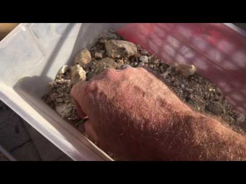 Oceanview Mine Finds April 2017 Tourmaline, Kunzite, Morganite, Aquamarine, Spodumene