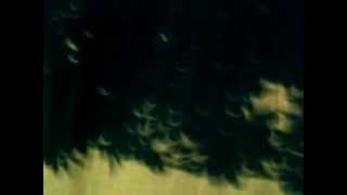 Annular Eclipse - May 20, 2012 (Slideshow)