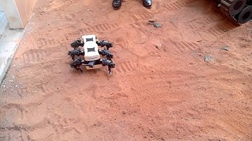 Melanie-III Walking on sand