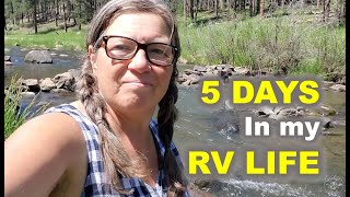 RV Life 5 Days in the Black Hills ( with Tips and Tricks