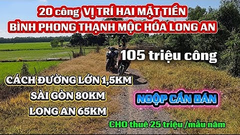 Tuổi lớn không khả năng lao động cần bán 20 công đất bình phong Thạnh Mộc Hóa Long An 