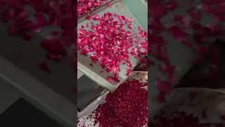 Rose Leaf Cleaning Distoner Machine +91 90985 87992
