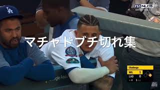 MLBマチャドブチ切れ集