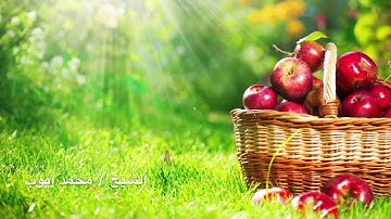 محمد أيوب سورة الضحى