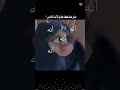 انه انه انهه اكسبلور لايك ستوريات تصميم فيديوهات