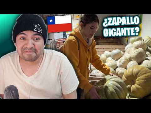 Un supermercado CHILENO muy PARTICULAR 🇨🇱 - Guatemalteco reacciona |MultiSanchez|