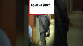 Арман Дикого посадят?