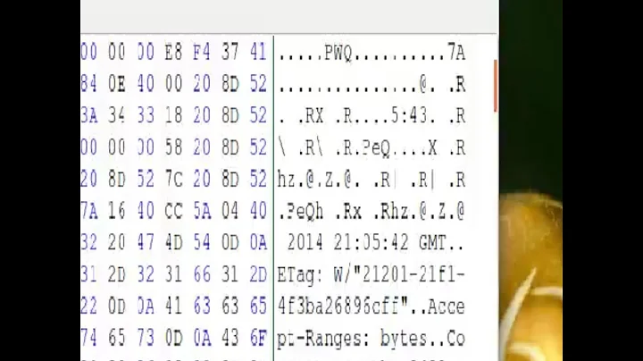 Bless Hex Editor: Seeing Beyond the Bytes