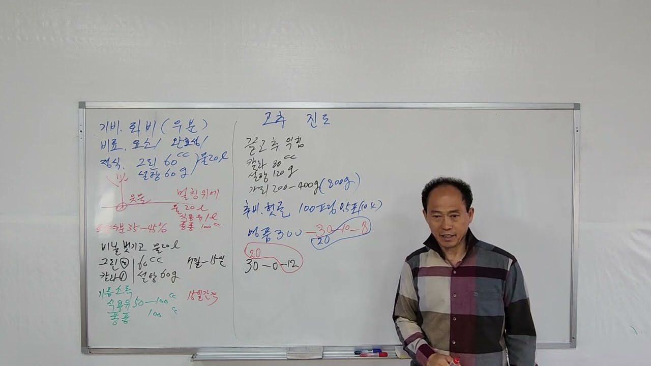 #고추 #다수확 #엽면시비 #설탕 #맹물시비 #웃비료 #요소 #색내기 #당도 #저장양분 #황금알농법