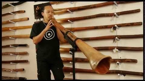 Jesse Lethbridge  Didgeridoo #759