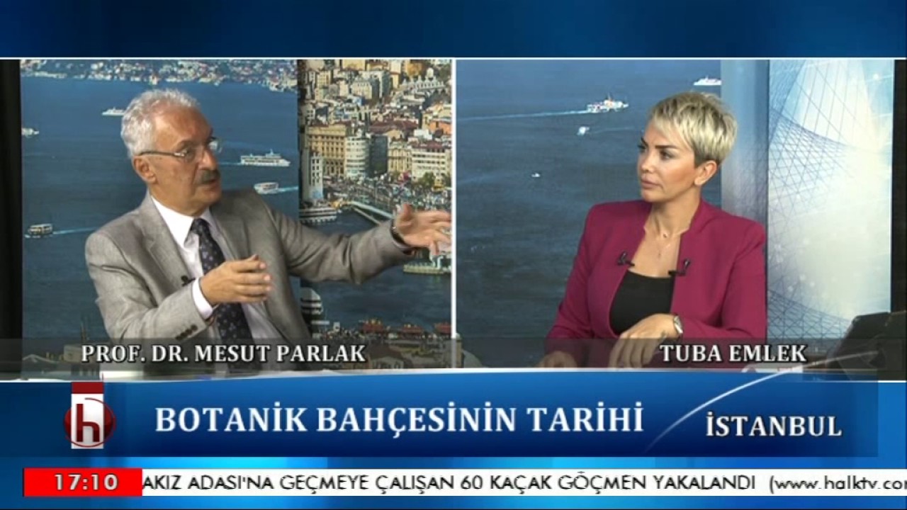 TUBA EMLEK İLE İSTANBUL PROF. DR . MESUT PARLAK 08 08 2017 YouTube