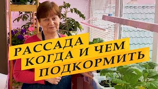 Когда, как и чем подкармливать рассаду.