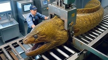 We Battled a 5 Meter Giant Moray Eel — Europe’s Most Terrifying Deep Sea Hunt!