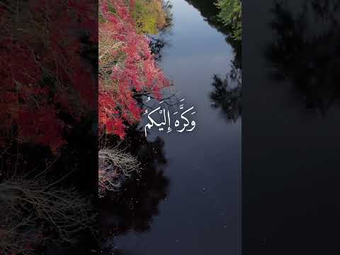 و ز ي ن ه ۥ ف ى ق ل وب ك م