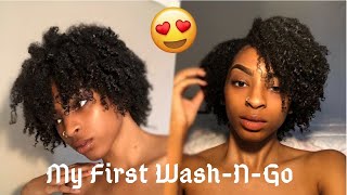 My First Wash-N-Go! on Type 4 Hair || Jewel Pray