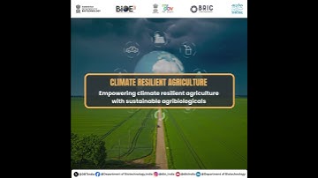 D.E.S.I.G.N. for BioE3 Challenge