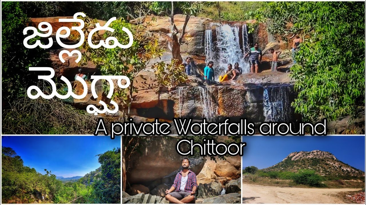 Jilledu Mogga Waterfalls || IRALA || Chittoor District