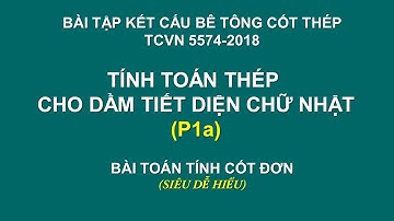 HƯỚNG DẪN BÀI TẬP BÊ TÔNG CỐT THÉP CƠ BẢN DỄ HIỂU - P1