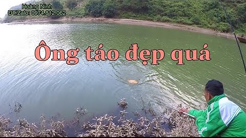 Câu Lăng Xê Tự Nhiên Dính Cá Ông Táo Khủng