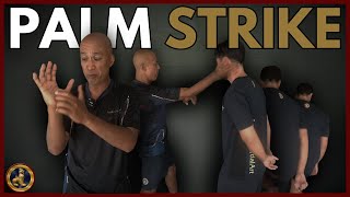 PALM STRIKE: Learn a powerful martial art strike