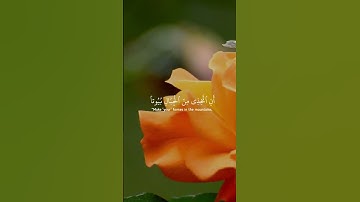 استمع لحظات تنفعك يوم القيامة🐝❤️ وتجهز لرمضان 🌙 | القرآن الكريم ( شُفَيَعٍگ يَۆم آلُقيَآمة )