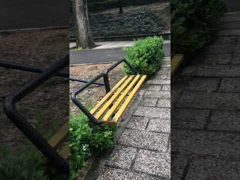 پارک ولیعهد سابق پارک شهید شکری کنونی طبیعت گردی با نرگس