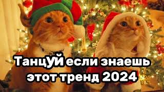 😎Танцуй если знаешь этот тренд✨️Тренды 2023-2024года😎