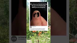 Celebrity Do you understand? write in the comments Net Worth