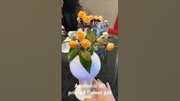 Aesthetic 3D Flower Pot