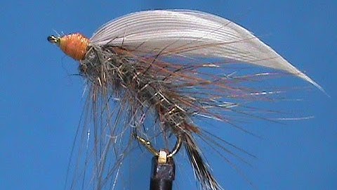 Beginner Fly Tying a Red Squirrel Wet with Jim Misiura