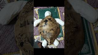 Ganpati decoration series Part-3  | Turtle 🐢 | Turtle cardboard  #ganpati #ganpatidecoration