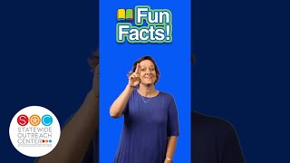 Fun Facts - Baby Animals -  Hedgehogs