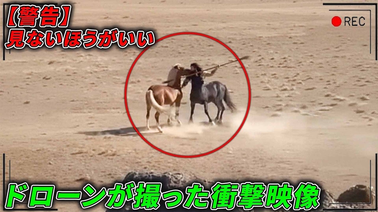 【放送禁止】ドローンが捉えた「決して見てはいけない映像」13選。隠蔽されたUMAと不気味な儀式の正体とは…#衝撃の事実 #top #恐怖 #10選 #怖い話 #面白い #动物 #ドローン #監視カメラ