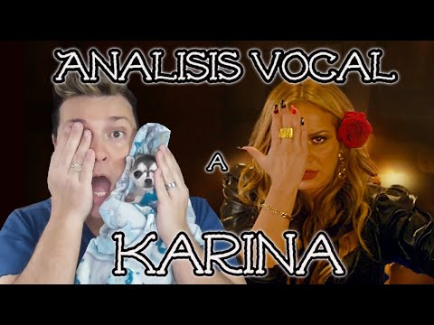 Analyzing Karina - Pirate by Adry Vachet