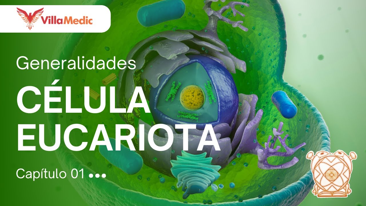 CC.BB. BIOQUIM. | Generalidades: Célula Eucariota - VillaMedic