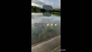 タートルトークしたいヤツ笑