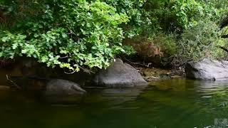📽️ La Ribeira Sacra Lucense, Los Cañones del Sil.