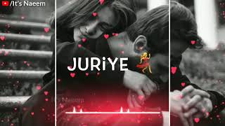 Rena tu pal pal dil kay pass