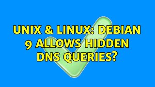 Unix & Linux: Debian 9 allows hidden DNS queries?