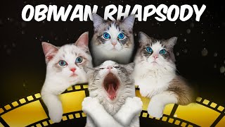 Obiwan Rhapsody - Parody Song - Declaration Of Love From A Cat To Its Mommy