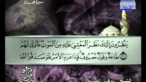 سورة محمد الشيخ توفيق الصائغ Mohammad