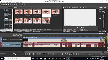 How To Make Angry Effect On Sony Vegas Pro